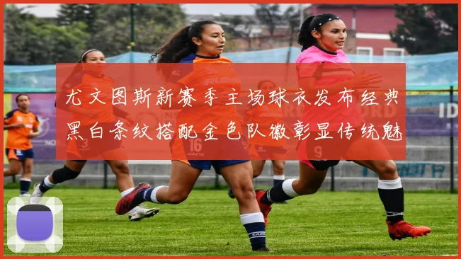 尤文图斯新赛季主场球衣发布经典黑白条纹搭配金色队徽彰显传统魅力