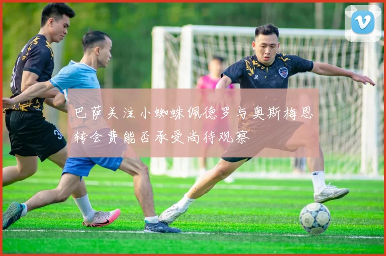 巴萨关注小蜘蛛佩德罗与奥斯梅恩转会费能否承受尚待观察