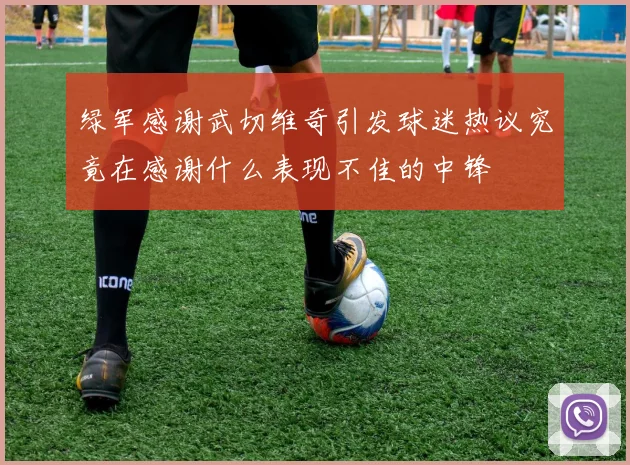 绿军感谢武切维奇引发球迷热议究竟在感谢什么表现不佳的中锋